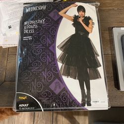 Wednesday Costume