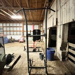 Pull-up And Dip Bar