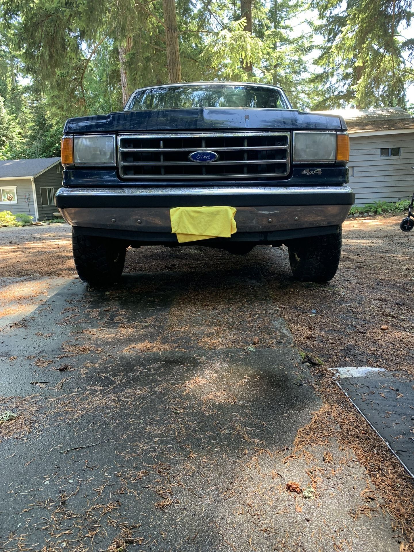 1991 Ford F-150