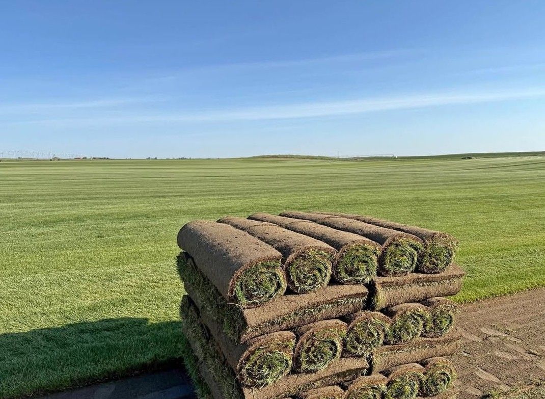 Sod &grass