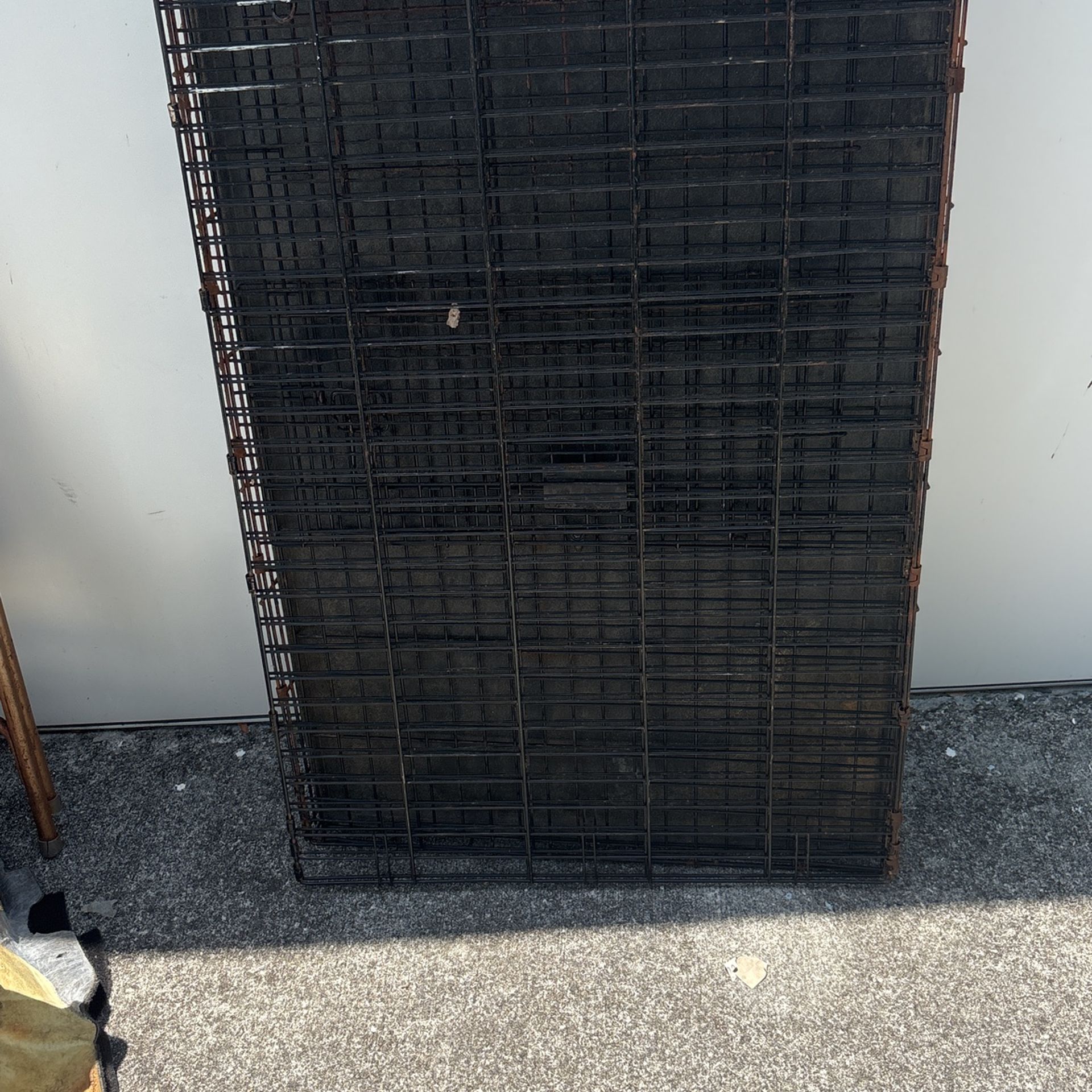 Big dog cage