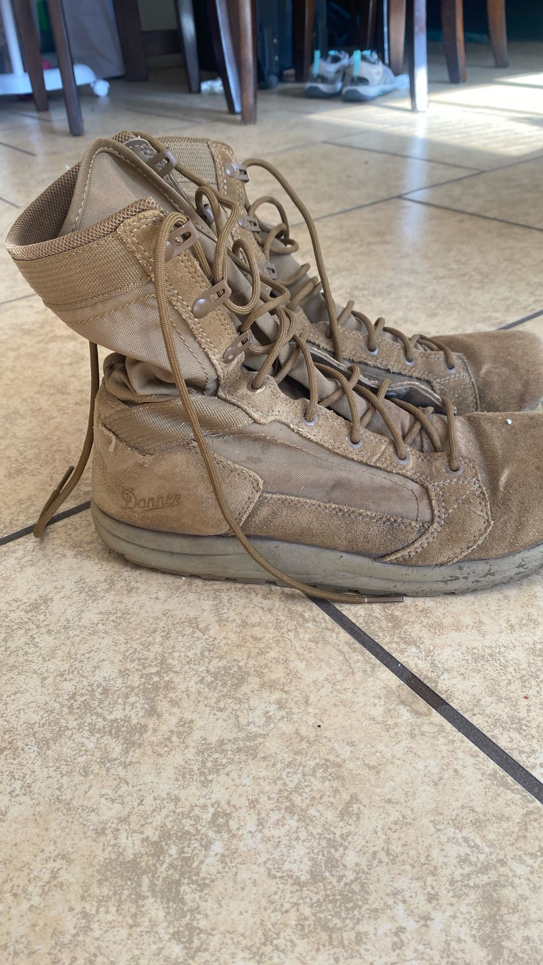 Danner Coyote Brown Boots