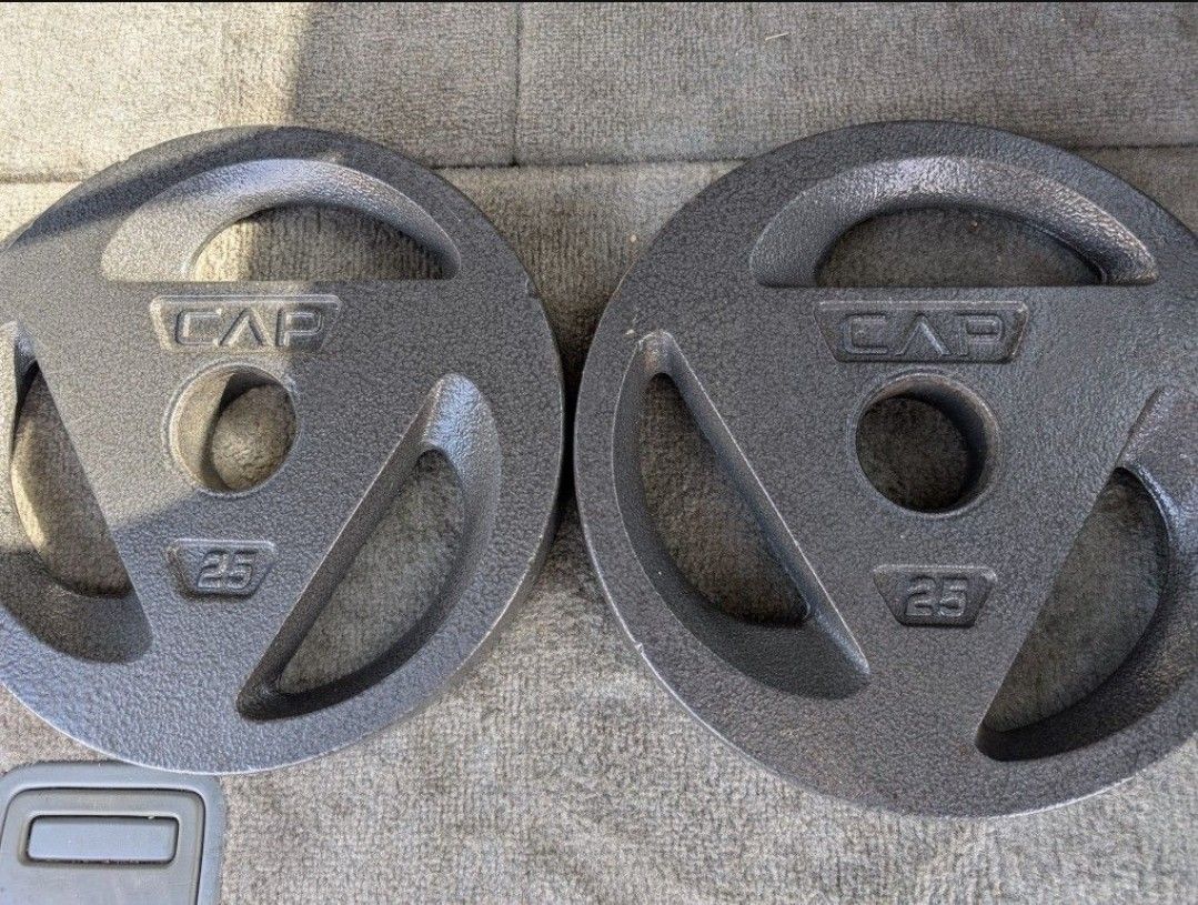 25 lb Weight Plates (Set of 2)