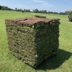 Pallets Of Sod Delivered