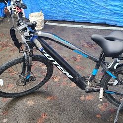 Electric Bike