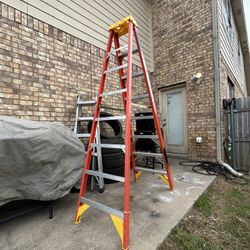 Nice Werner Ladder ! 