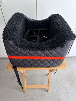Bike dog seat