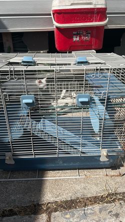 Hamster cage