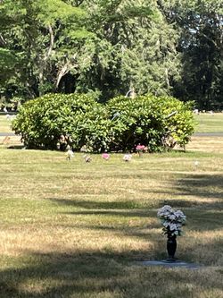 Cemetery Plots