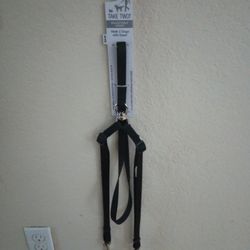 2 Dog Walking Leash