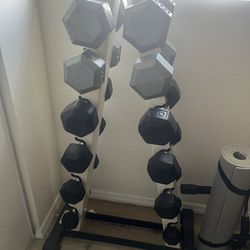 Dumbbell Set with Rack (210lbs)