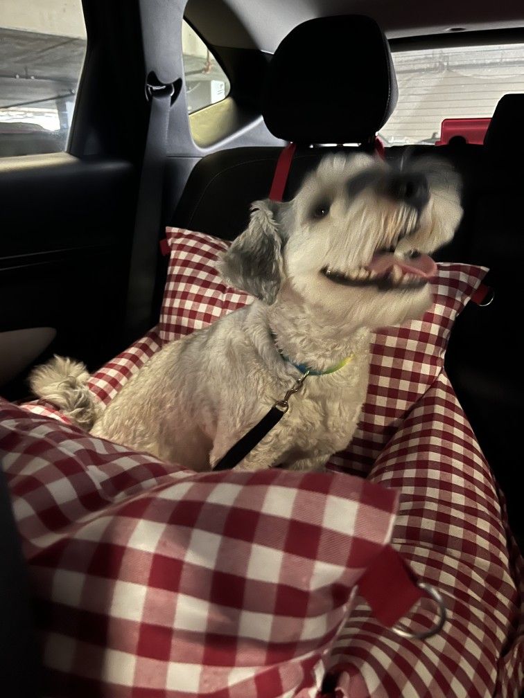 Dog Bed/Car Seat