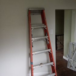 Ladder 6 Foot Metal Ladder 