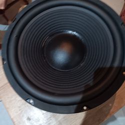 SPEAKER 12 INCHES