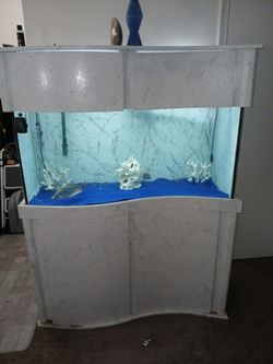 90 gallon fish Tank