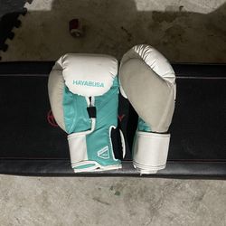 Kickboxing Gloves
