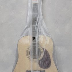 Cort Acoustic Guitar Earth Pack Bundle