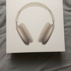 Air Pod Max