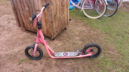 Girl Or Boy  Freestyle Scooter $50