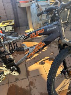 Mongoose bike