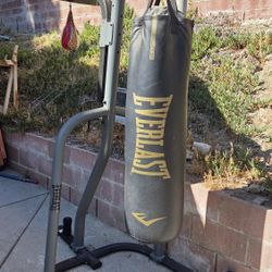 Punching Bag & Speed Bag & Stand (Everlast)