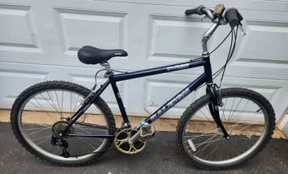 Raleigh SC30, ( Made in USA), Large 20" Bike