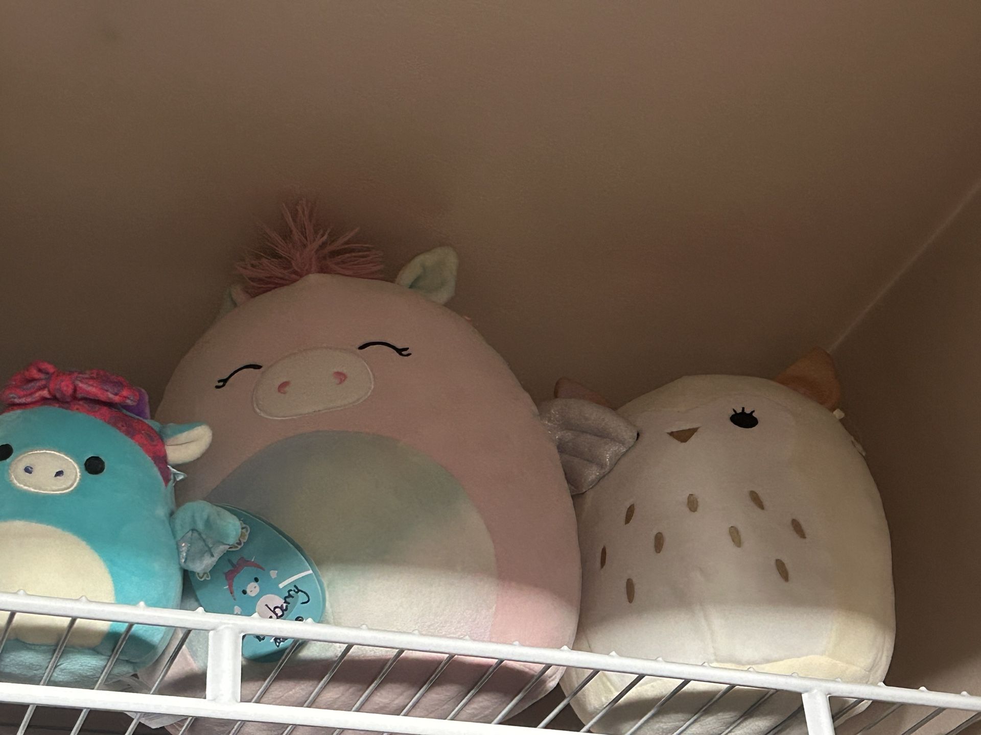 Toys/ Stuffed Animals