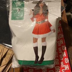 Sassy Santa  Outfit Costume - size small