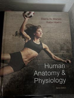 Human Anatomy