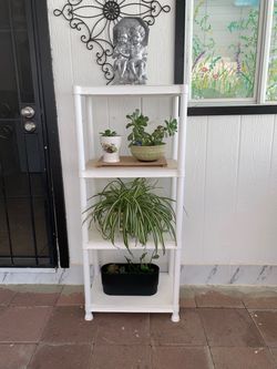 Shelf with all the plants
