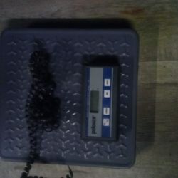 Scale