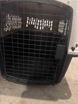 Top Paw Plastic Pet Carrier