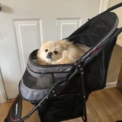 Pet Stroller 