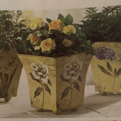 Flower Print Pot Set