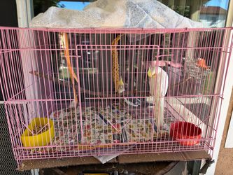 Bird cage