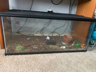 42 Gallon Terrarium