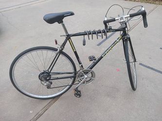 Schwinn World Sport 10 Speed