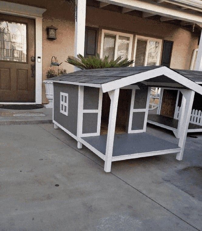 safe trip Animal Kennels & Pet Homes – Where Strength Meets Comfort