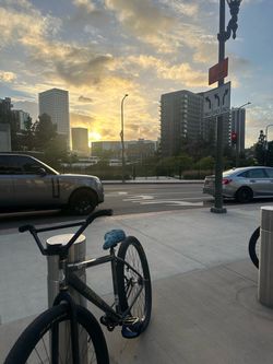 Throne 29er