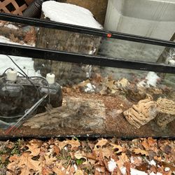 Aquarium  Reptile Fish Tank Believe 55 Gallon Ready To Go 