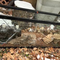 Reptile Fish Tank Believe 55 Gallon Ready To Go 