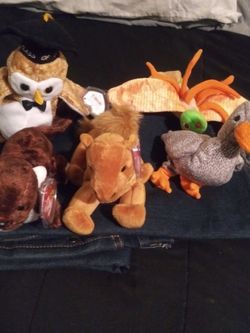 Beanie Babies 5 Of Them