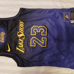 LeBron Jsmes Jersey