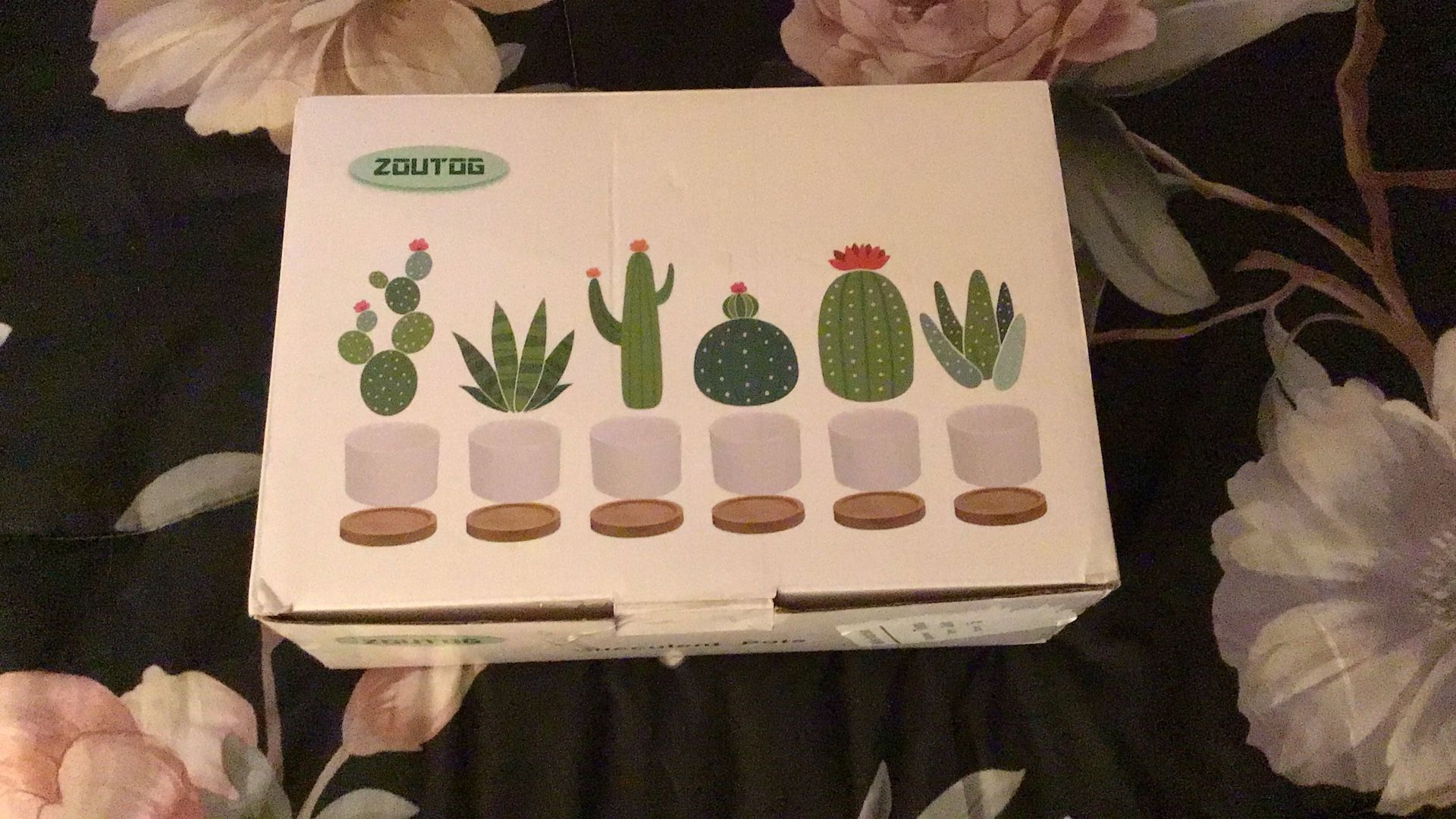 Succulent Pots