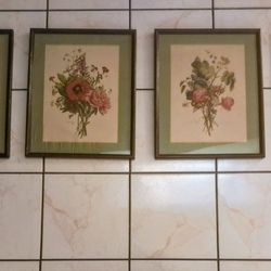 4 T.L. Prevost Botanical Floral Prints