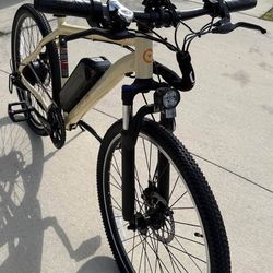 Brand New Ebike