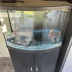 Fish tank 