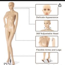 New In Box! Mannequin Doll Human Female Lady Girl Clothing Sewing Sawing Tailor 