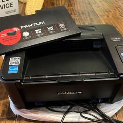 Pantum Printer P2502W