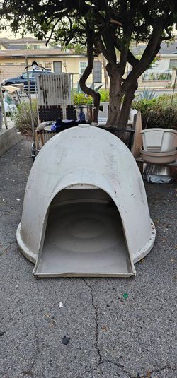 Free Igloo for dogs